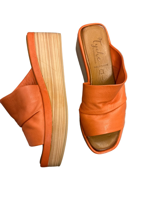 Larch - Coral