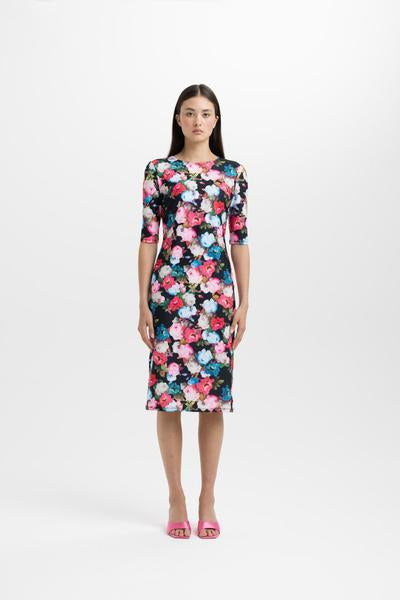 Daisy - Roses