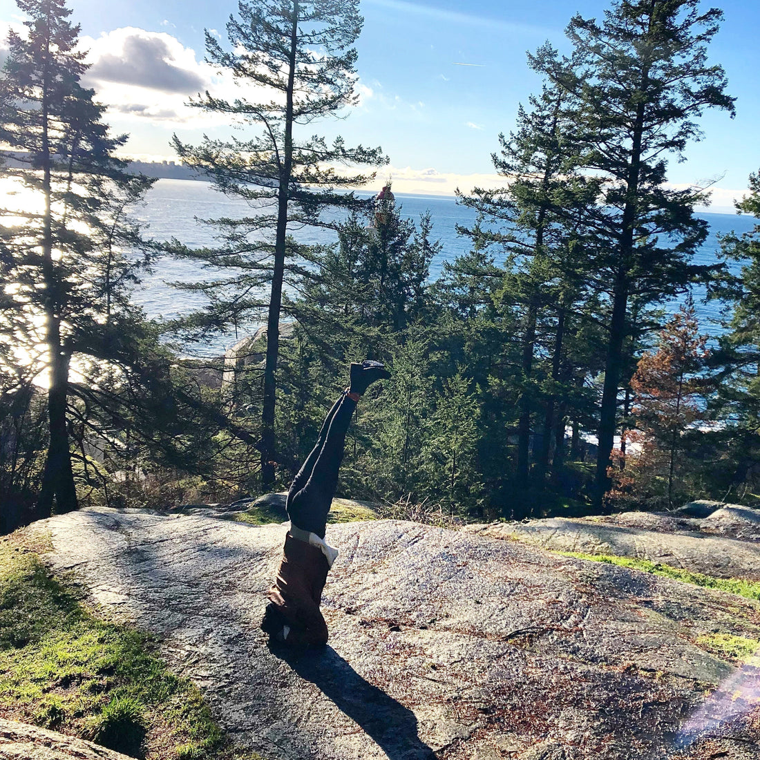 If Trees Could Talk